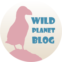 Wild Planet Blog(@wildplanetblog) 's Twitter Profile Photo