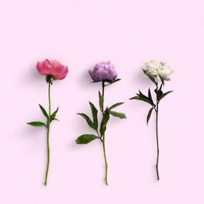 Taraf788's profile picture. 