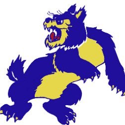 Twitter account for the Class of 2025 at Wheeling High School.
