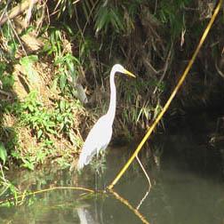 Aqui você acompanha a produção do documentário Sorocaba, o rio que reviveu.