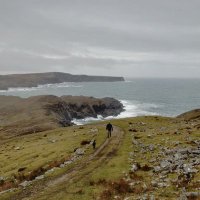 Luke (@caperteach) Twitter profile photo
