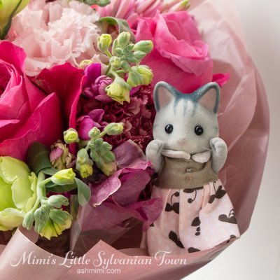 ashmimisylvania's profile picture. シルバニアファミリー用のジオラマやミニチュアを作っています。作り方はブログの方に載せています。Making dioramas and miniatures for Sylvanians Families aka Calico Critters. Tutorials are available on my blog.