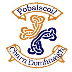 Carndonagh Community School Profile
