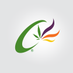 Cannaroma (@cannaroma) Twitter profile photo Cannaroma (@cannaroma) Twitter profile photo