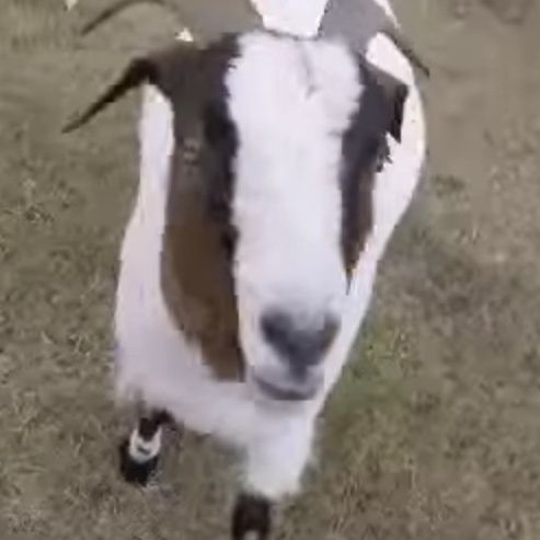 davlloyd's profile picture. 20 year IT veteran, cloud evangelist, proud father, keen surfer. These are all my opinions or others that I like.