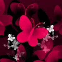Lupus Today! (@lupustoday) 's Twitter Profile