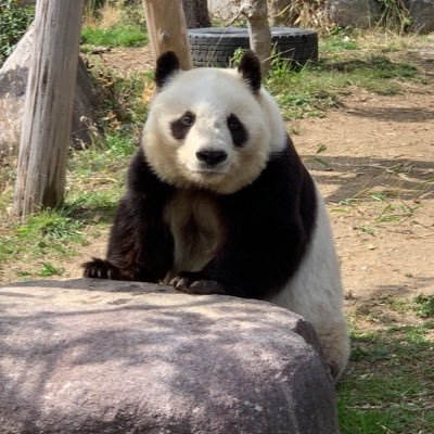tantan72889035's profile picture. 