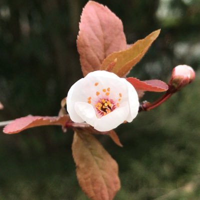 AndyWon85291720's profile picture. 