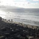 Daniela Esteves - @Daniela_Canela - Twitter