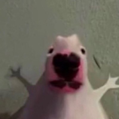 vGs3HGSgbq9oDzk's profile picture. qeso moisture