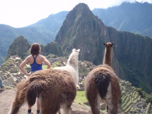 GroovieGurlie's profile picture. I'm not going to deny it, I'm pretty frickin' spectacular.