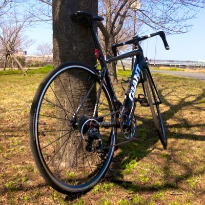 furu_tcr's profile picture. 千葉よりの東京→神奈川。18🚹 ⛰で生を感じたいお年頃。TCR乗車中。※無言お許しを…