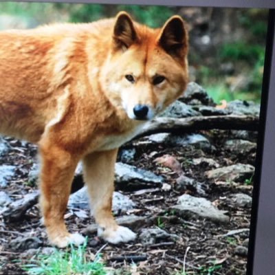 ArturoMseguros's profile picture. Agente de Seguros y Español de pura cepa