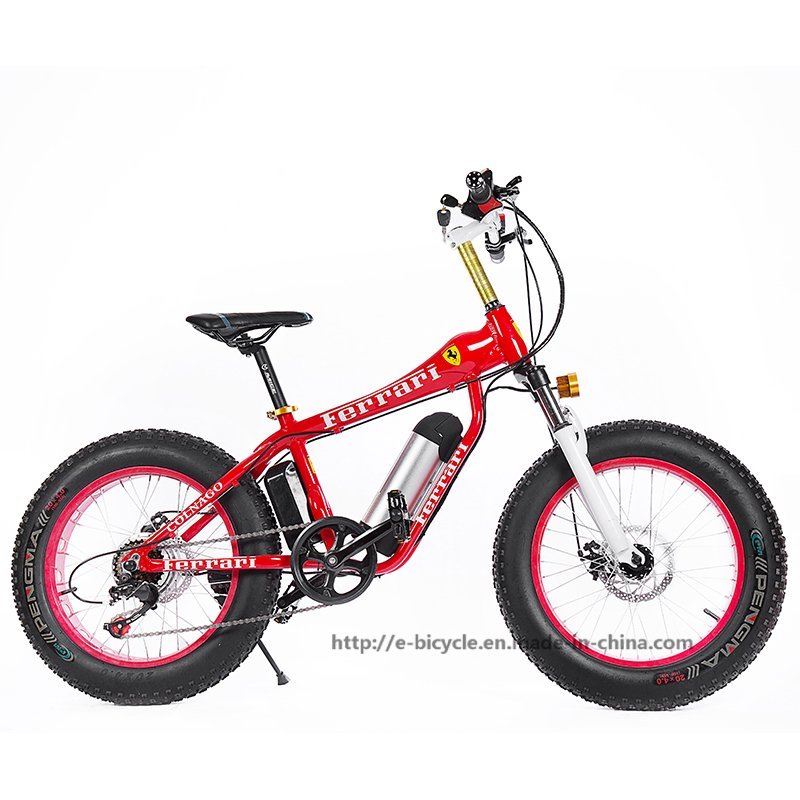 Electric bike,mountain bike,snow bike,road bike