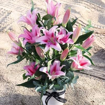 شرا، الاثاث المستعمل بالرياض مكيفات مطابخ ثلاجات غرف نوم شاشات اتصل افضل محلات شرا اثاث مستعمل بالرياض مكيفات مطابخ ثلاجات غرف نوم شاشات اتصل افضل محلات