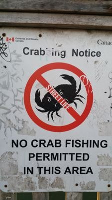 SickoMr's profile picture. unban quackityishot yeet