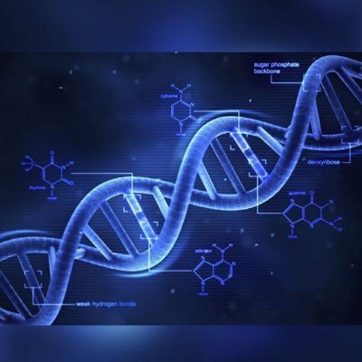 a_babkair's profile picture. احب تعلم كل شيء جديد، علوم 🔬 طب ، تطوير، تقنيات، اخبار، طالب بسيط في KAU