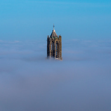 bwolf11196698's profile picture. i follow back