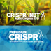 CRISPR Congress (@crisprcongress) Twitter profile photo CRISPR Congress (@crisprcongress) Twitter profile photo