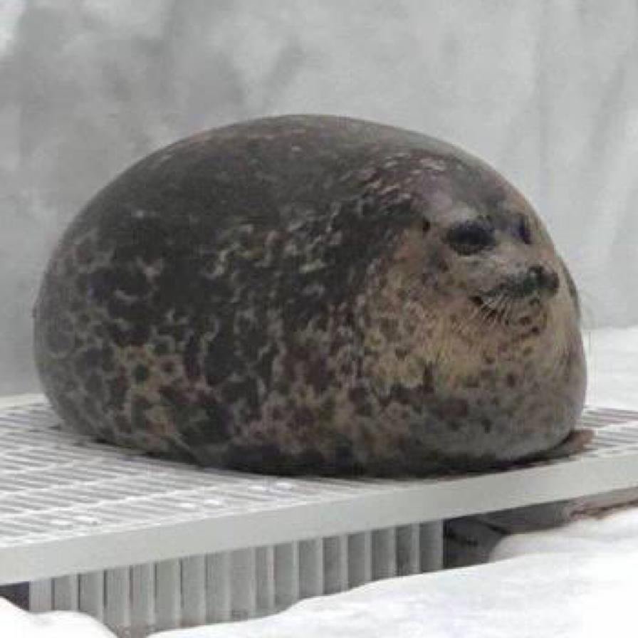 willyfgj's profile picture. 