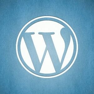 arash834714359's profile picture. Webmaster