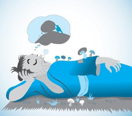 ari_shu's profile picture. 