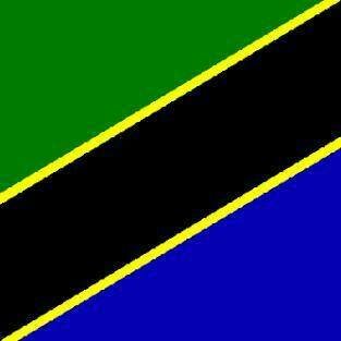 Chief of party, B&I Tanzania ltd
Benefits and Insurance, fibre networking, & international agency