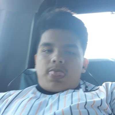 DatorGabriel's profile picture. @gvdator(locked)