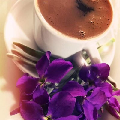 ashrafalshrif2's profile picture. 55331710