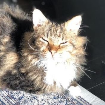 2namr_'s profile picture. ٩( ᐛ )و