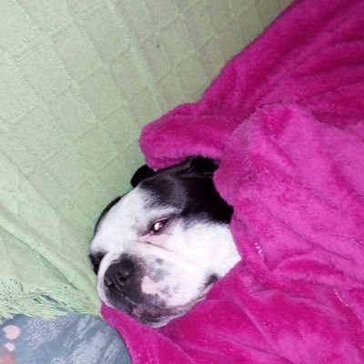 AneleVV's profile picture. 