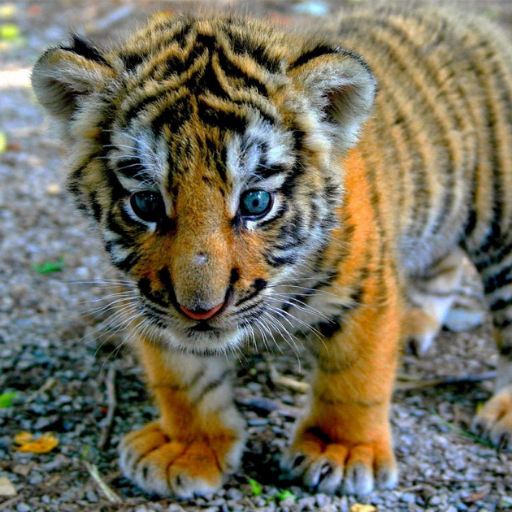 mommawasright's profile picture. Making sense of this planet 160 students at a time.