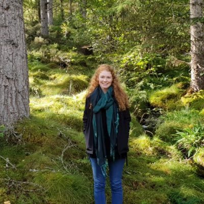 GeorgieMStuart's profile picture. 