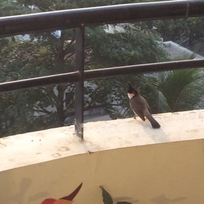 agirish1974's profile picture. 