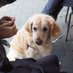miss fourpaws (@mfourpaws) Twitter profile photo miss fourpaws (@mfourpaws) Twitter profile photo