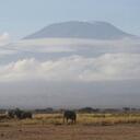 Elisa - @elisa_moe - Twitter