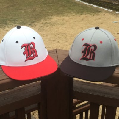 BernrdsBaseball Profile Picture