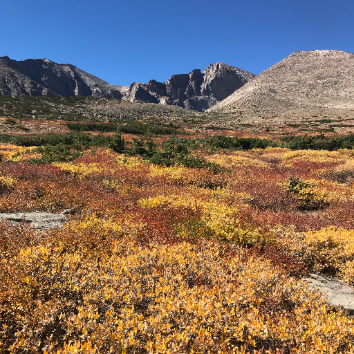 langlingo's profile picture. From CO working in BC for Africa (largely) in sacred scripture Translation. I have 1 wife, 3 kids, and love being outside!