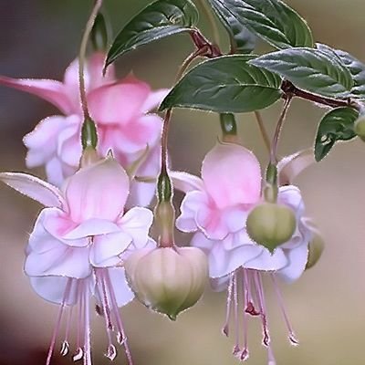 그냥 열심히 눈치보며 삶 니다