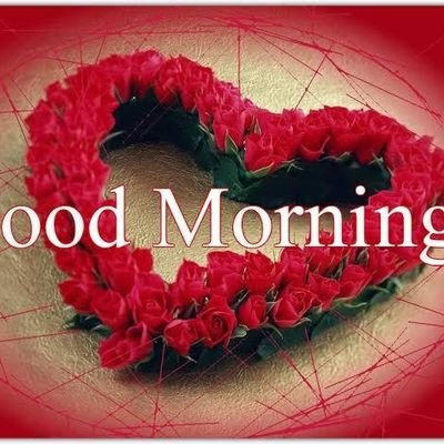 Mr_Tity's profile picture. ⚘