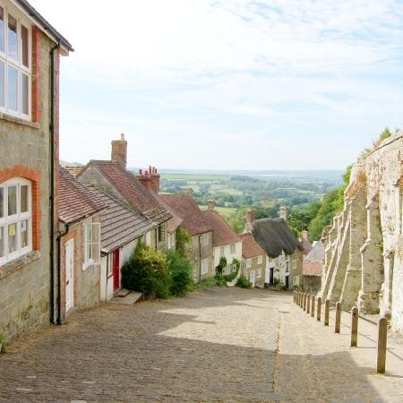 shaftesburytown's profile picture. 