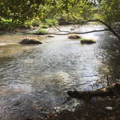 jmencaris's profile picture. 