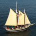Freda B (@sfbayadventures) Twitter profile photo Freda B (@sfbayadventures) Twitter profile photo