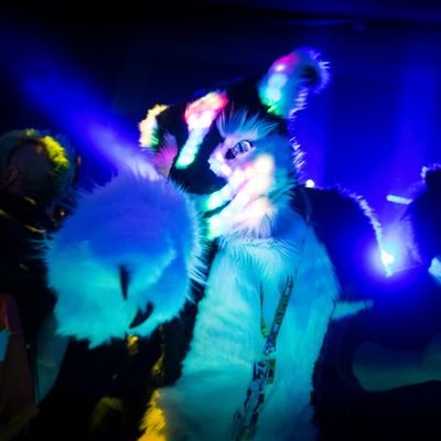 Hi! I am Lumen the LED Sergal. Engineering and dance fur currently working on finishing my sergal fursuit with lights... someday...