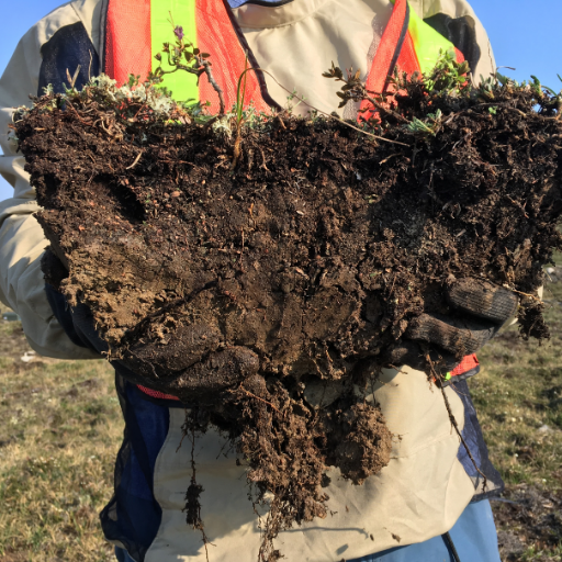 Soil-Plant-Invert Ecology, Ecotoxicology and Bioremediation research group lead by Dr. Steven Siciliano.