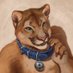Spandex Menagerie (@purpleqgr) Twitter profile photo Spandex Menagerie (@purpleqgr) Twitter profile photo