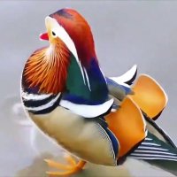 لا إلاه إلا الله (@smtci1vzc9zlam5) 's Twitter Profile