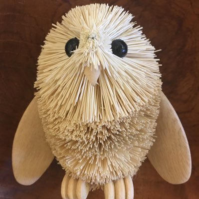 Greymata4's profile picture. An owl by any name remains the same. tweet t(w)oot