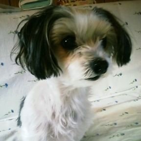 yukin_ko18's profile picture. 大晦日は早く寝ます。
GRAPEVINEが好きです。