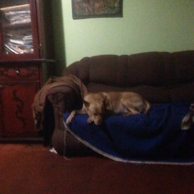 hectorb16137806's profile picture. Magia Bermudez